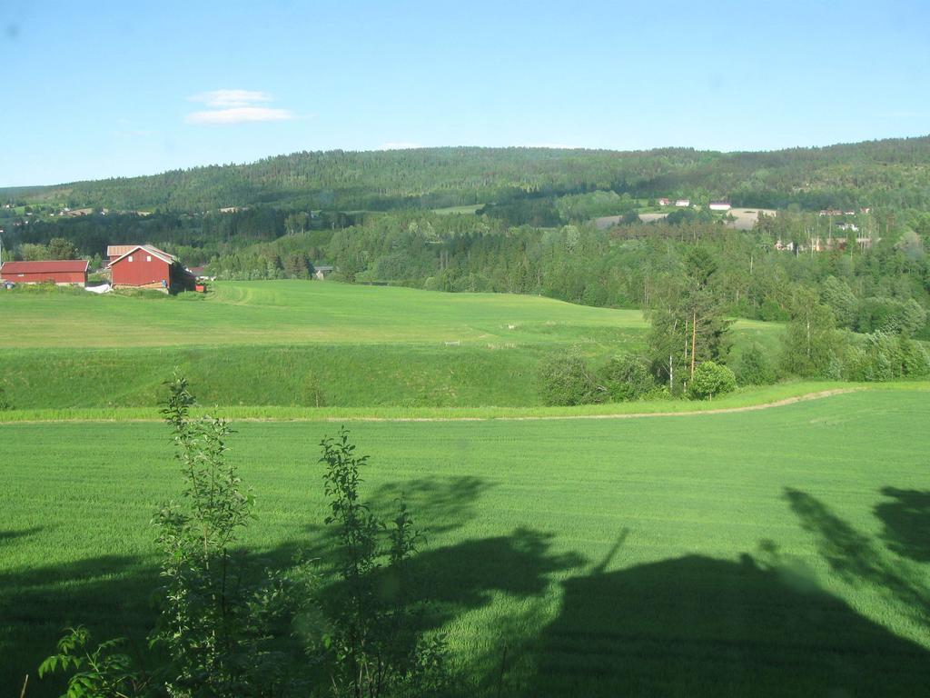 Sogn Gjestegard Svarstad  Room photo